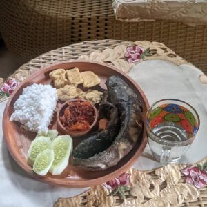 PIRING SAJI ALL IN ONE 28 CM MAHONI